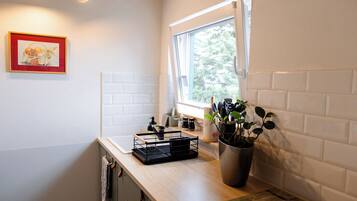 Una cocina con ventana, pileta, mostrador y una planta en maceta.