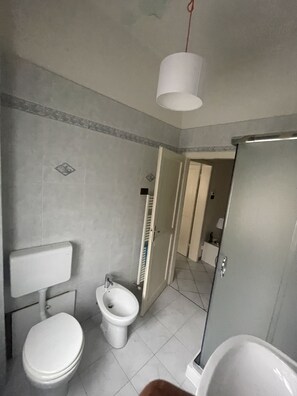 Bruser, hårtørrer, bidet, håndklæder