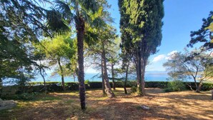 Eine natürliche, offene Landschaft mit Bäumen und Blick auf das Meer.