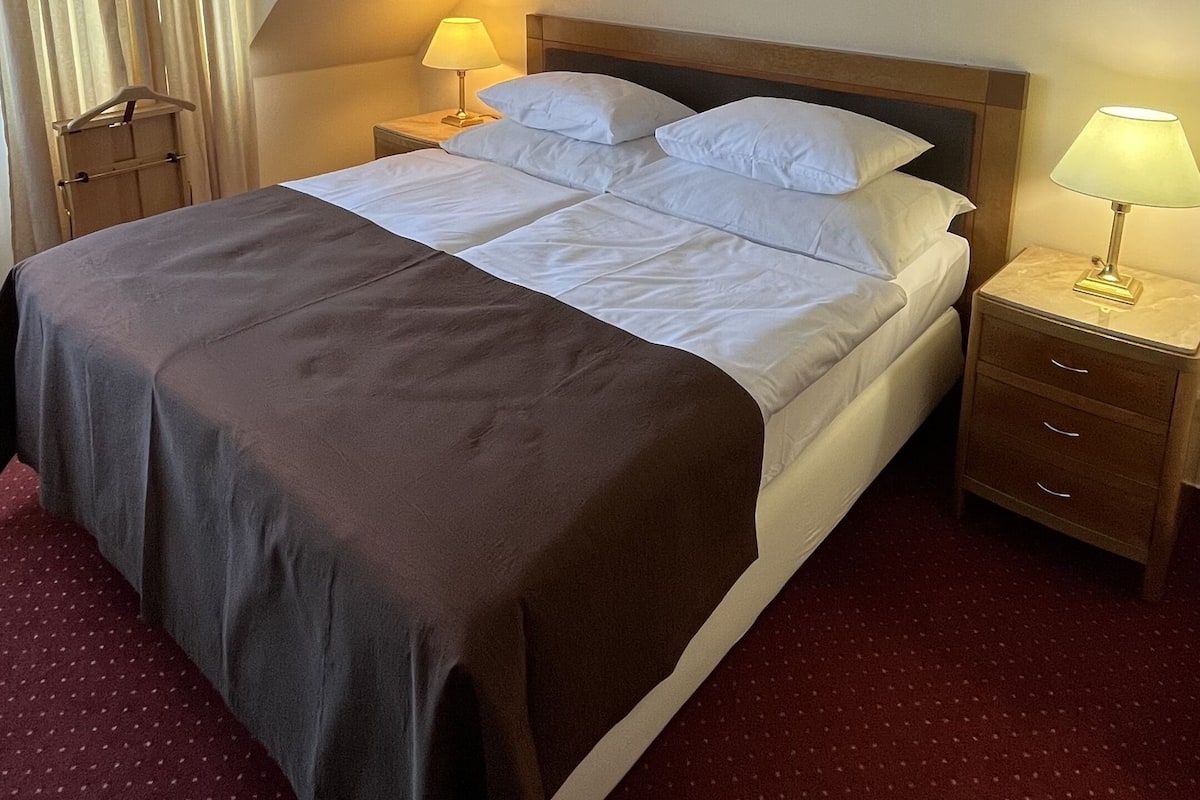 Camera Standard con letto matrimoniale o 2 letti singoli | Minibar, una cassaforte in camera, una scrivania, insonorizzazione