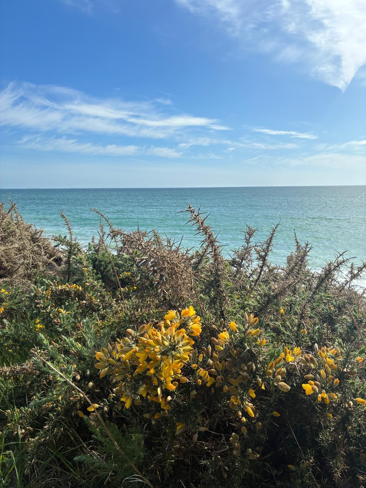 Beach nearby, sun loungers