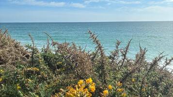 Beach nearby, sun loungers