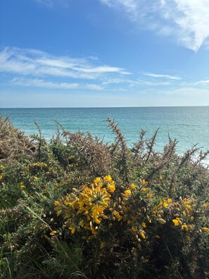 Beach nearby, sun-loungers - Audierne/Plouhinec: 1 km from the sea, in a peaceful, enclosed setting. (Plouhinec)