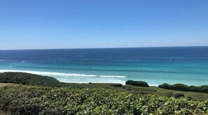 Playa en los alrededores y camastros 