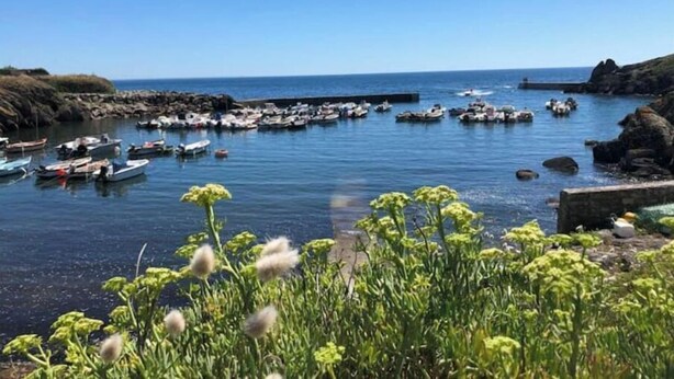 A coastal marina with boats docked, rocky shoreline, and greenery in the foreground. - Audierne/Plouhinec: 1 km from the sea, in a peaceful, enclosed setting. (Plouhinec)