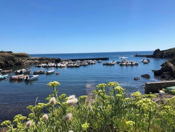 Jachthaven