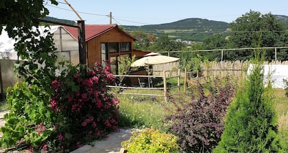 CHARMING, WARM, QUITE A UNIQUE CHALET  WITH THE MOUNTAINS VIEW!!