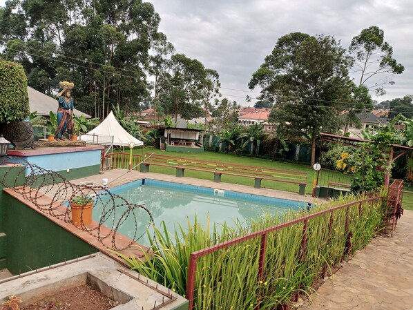 Relax by the serene pool surrounded by lush greenery and a variety of plants.