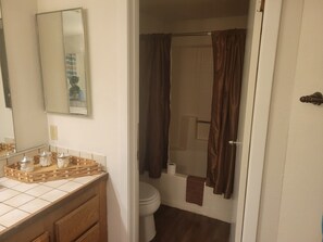 Bathroom features a vanity with mirror, toilet, and shower area.