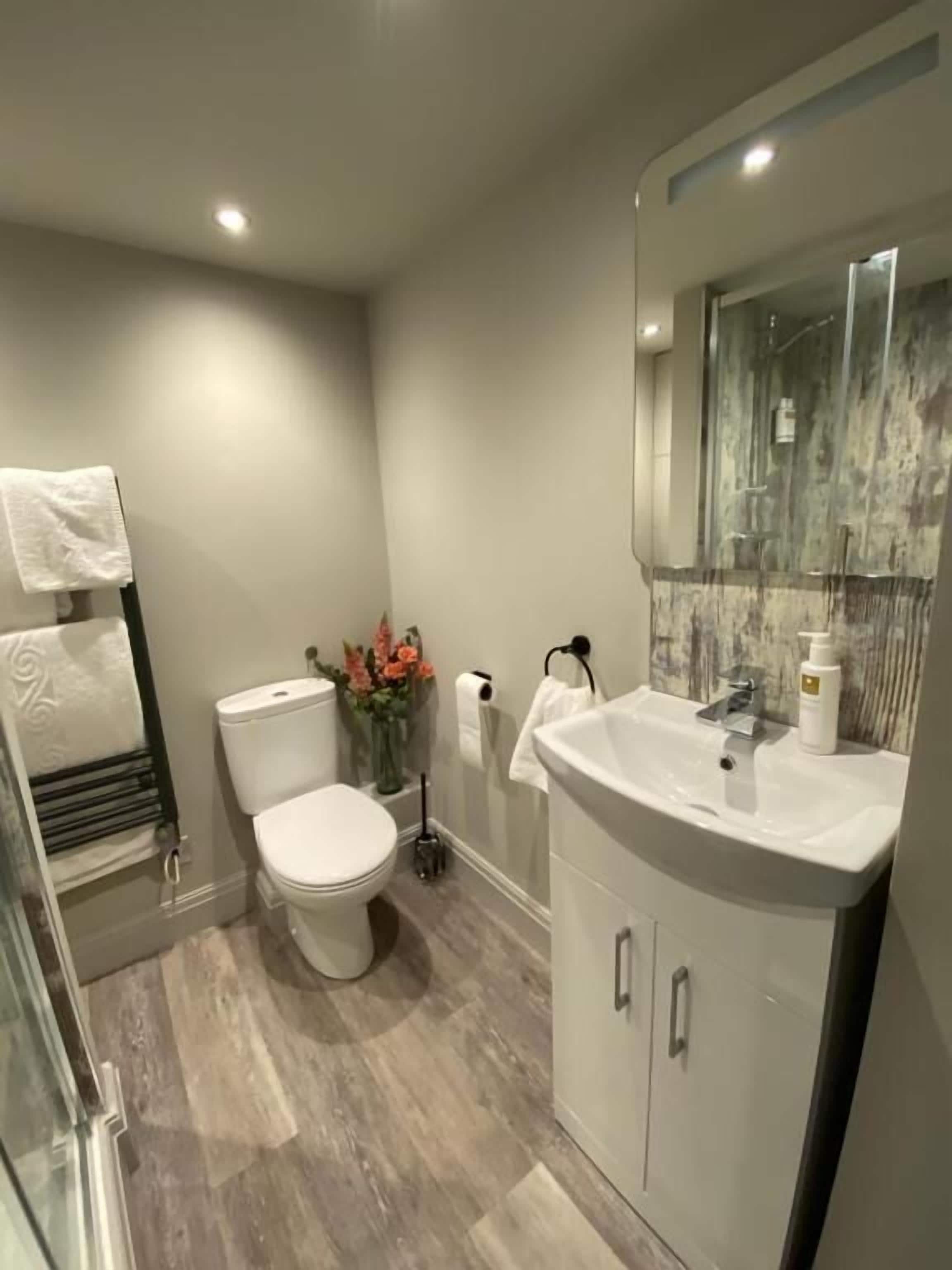 A modern bathroom with a toilet, sink, and mirror.