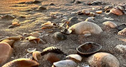 Private hot tub| Golf Cart