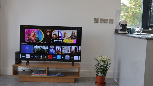 A flat-screen TV on a wooden stand with a potted plant beside it.