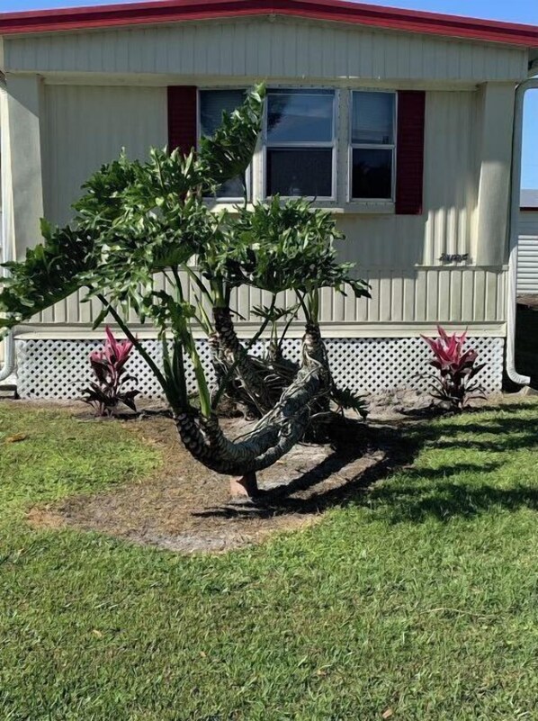 Property grounds - Retreat for tournament fishermen and hunters. (Moore Haven)