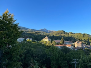 A town with buildings surrounded by dense green trees and a mountain in the background. - Cosy, pet Friendly Apartment in Netro, Piedmont (Netro)