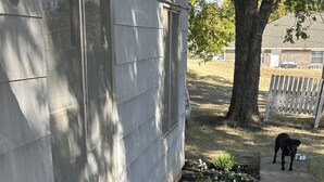 A house with a garden bed along the side, a tree, and a dog on a leash.