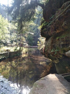 A serene forested area with a clear water body, a stone bridge, and a rocky outcrop.