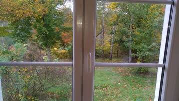 A window with a view of a wooded area with trees and grass.