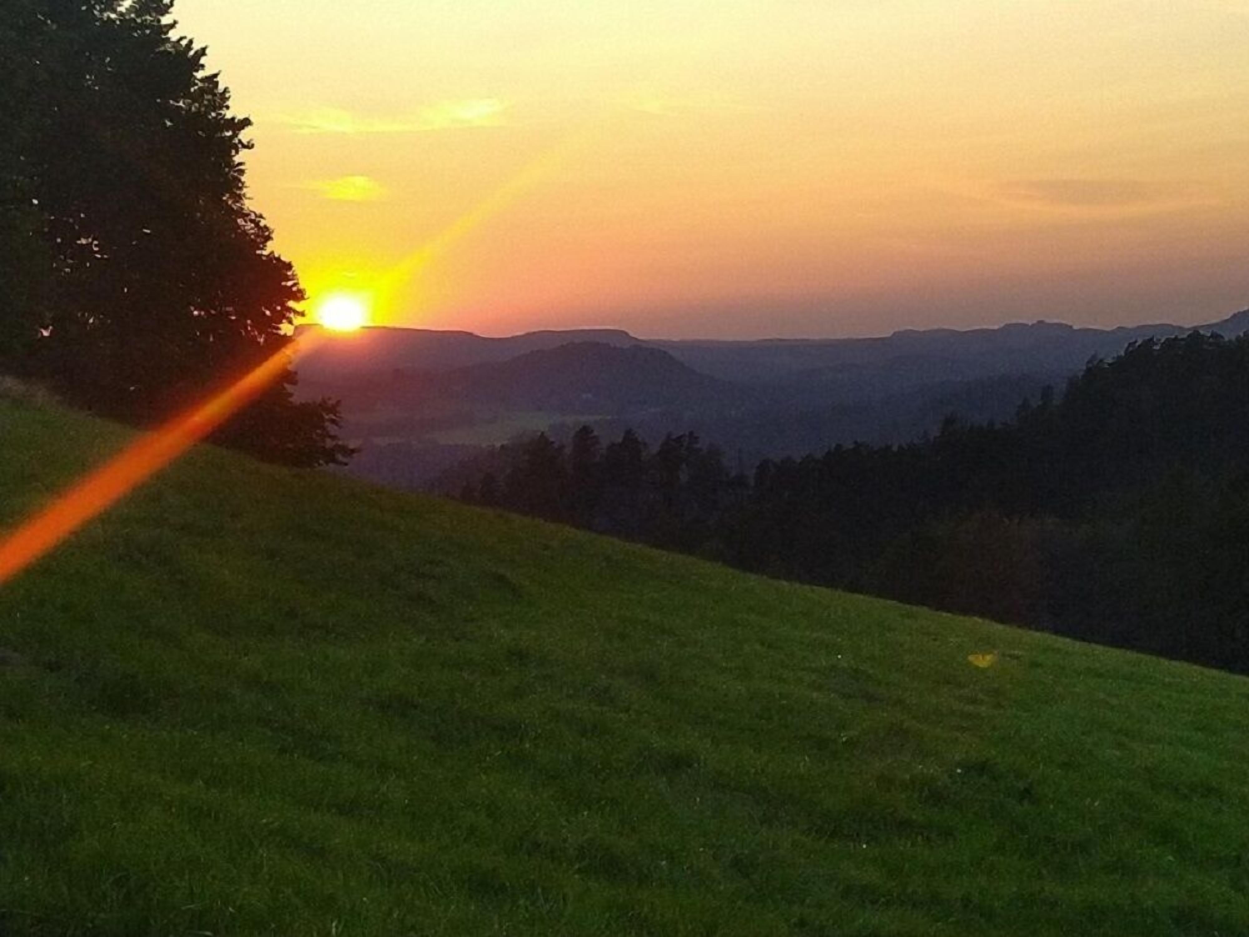 Ein Sonnenuntergang über einer grasbewachsenen Hügelkuppe, links ein Baum und im Hintergrund ein Gebirgszug.