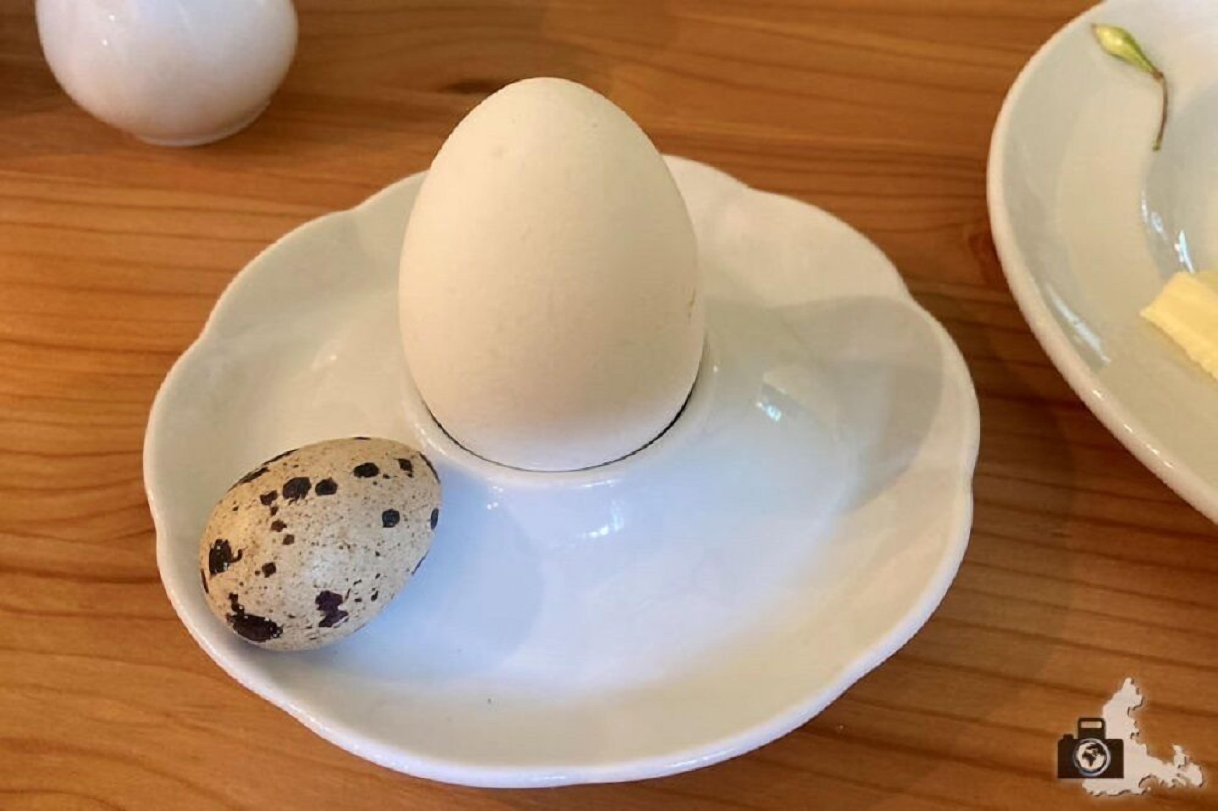 Un plato de cerámica blanca con un huevo moteado y un huevo liso sobre una mesa de madera.