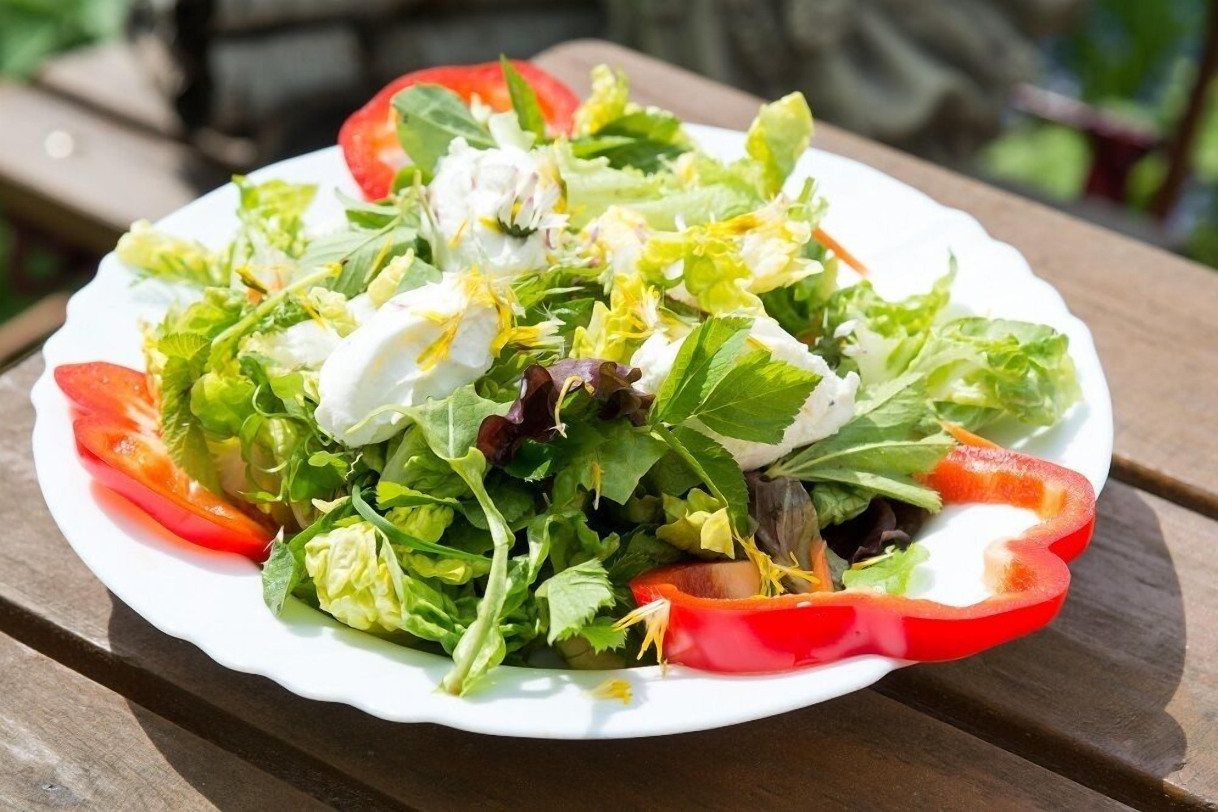 A plate of mixed greens salad with tomatoes and a dollop of dressing on a wooden table.
