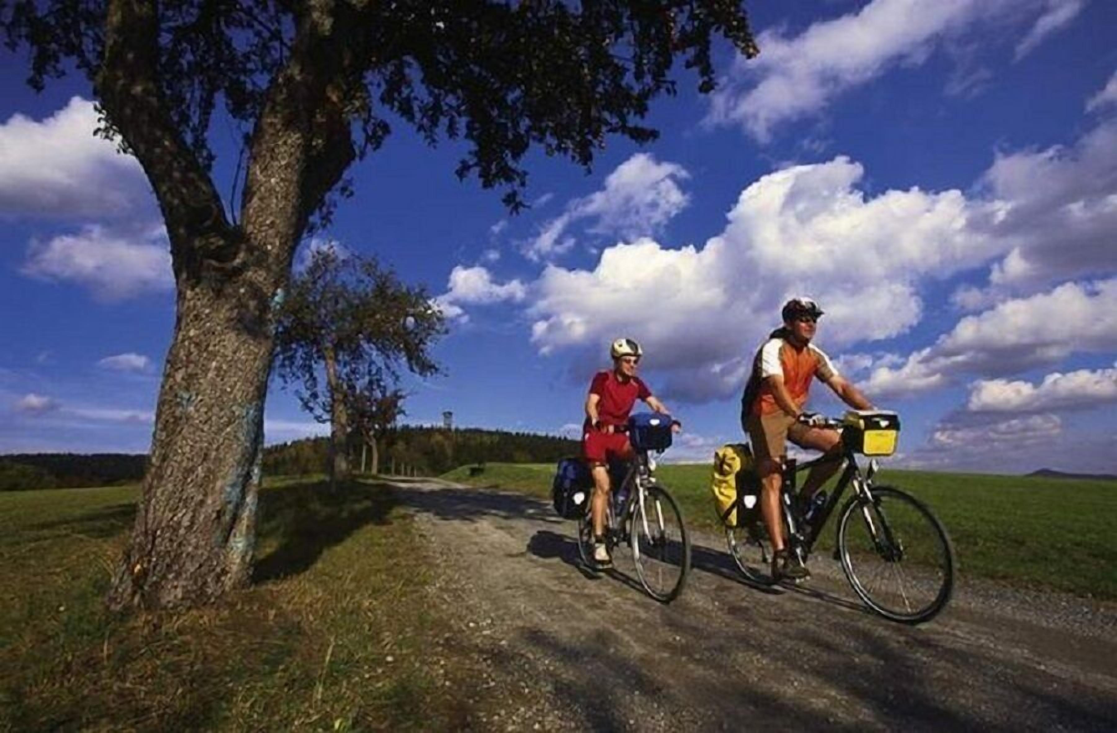 Two cyclists on a dirt path with a tree on the left and a clear sky in the background.