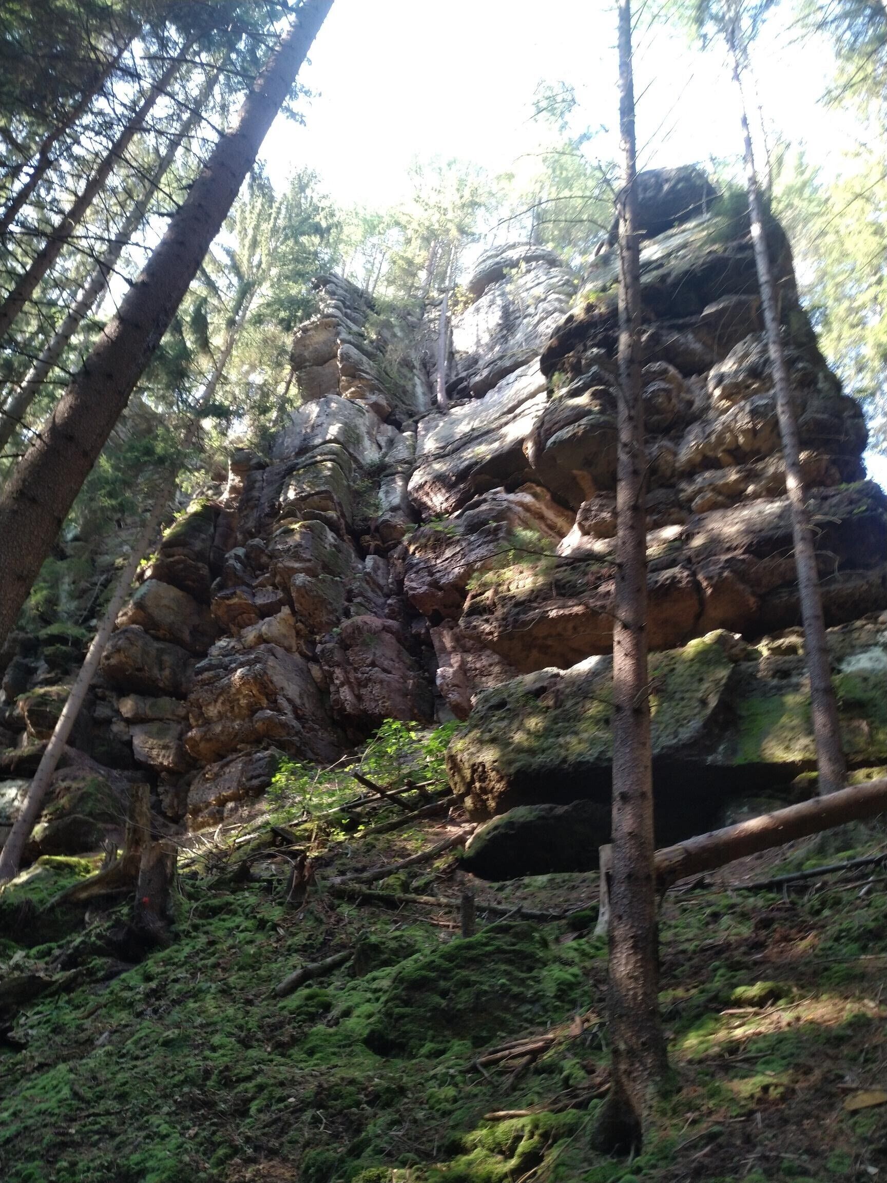 Un affioramento roccioso circondato da alberi.