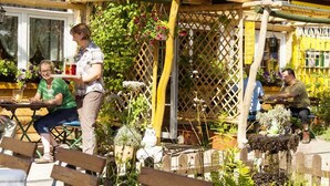 An outdoor café with wooden tables and chairs, surrounded by lush greenery and flowers.