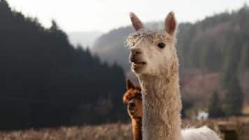 บริเวณภายนอก