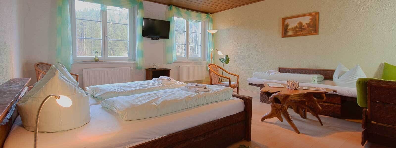 Ein gemütliches Zimmer mit einem Bett, einer Couch, einem Schreibtisch und einem Fernseher.