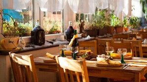 A restaurant with wooden tables and chairs, potted plants, and a bottle of champagne on the windowsill.
