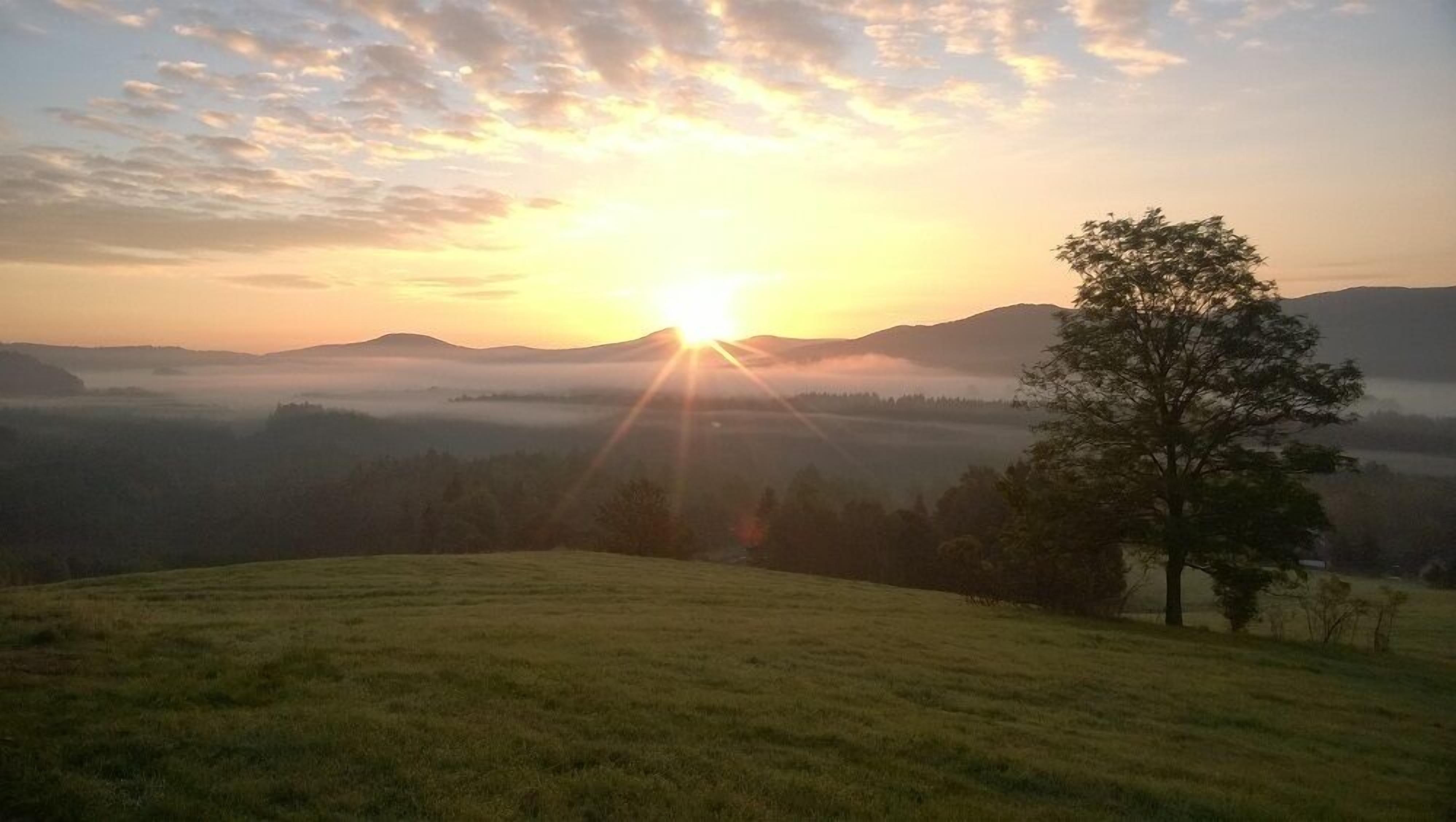 A sunrise over a grassy hill with a tree and distant mountains.