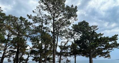 6-person seaview apartment with garden and private heated pool