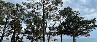 6-person seaview apartment with garden and private heated pool