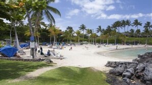 Uma praia com palmeiras, areal e uma área rochosa.
