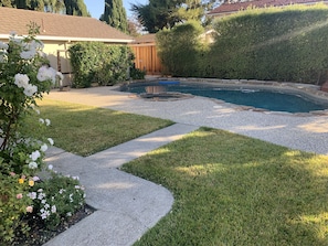 A backyard with a swimming pool, a stone pathway, and a well-maintained lawn.