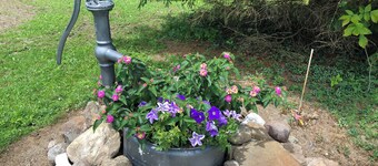 Charming, recently updated country ranch home on quiet, scenic, acre lot.