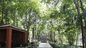 A paved pathway flanked by trees and a building with a tiled roof. - Maajid Quba Hotel&Restaurant Sanatorium (Quba)
