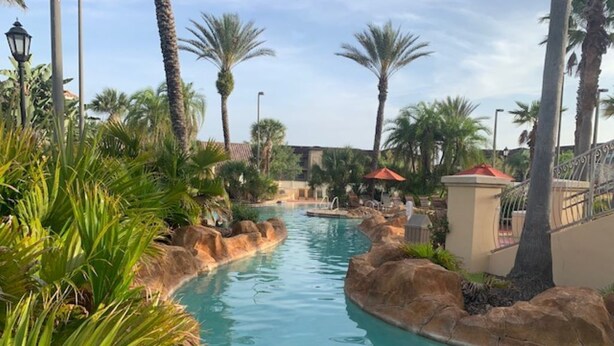 Zona de piscina con palmeras y un muro de piedra.