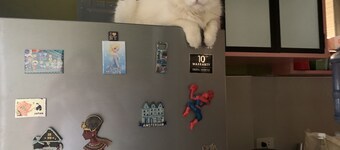 Flying in to Butuan on a budget? Your gateway to Siargao and Surigao del Sur!