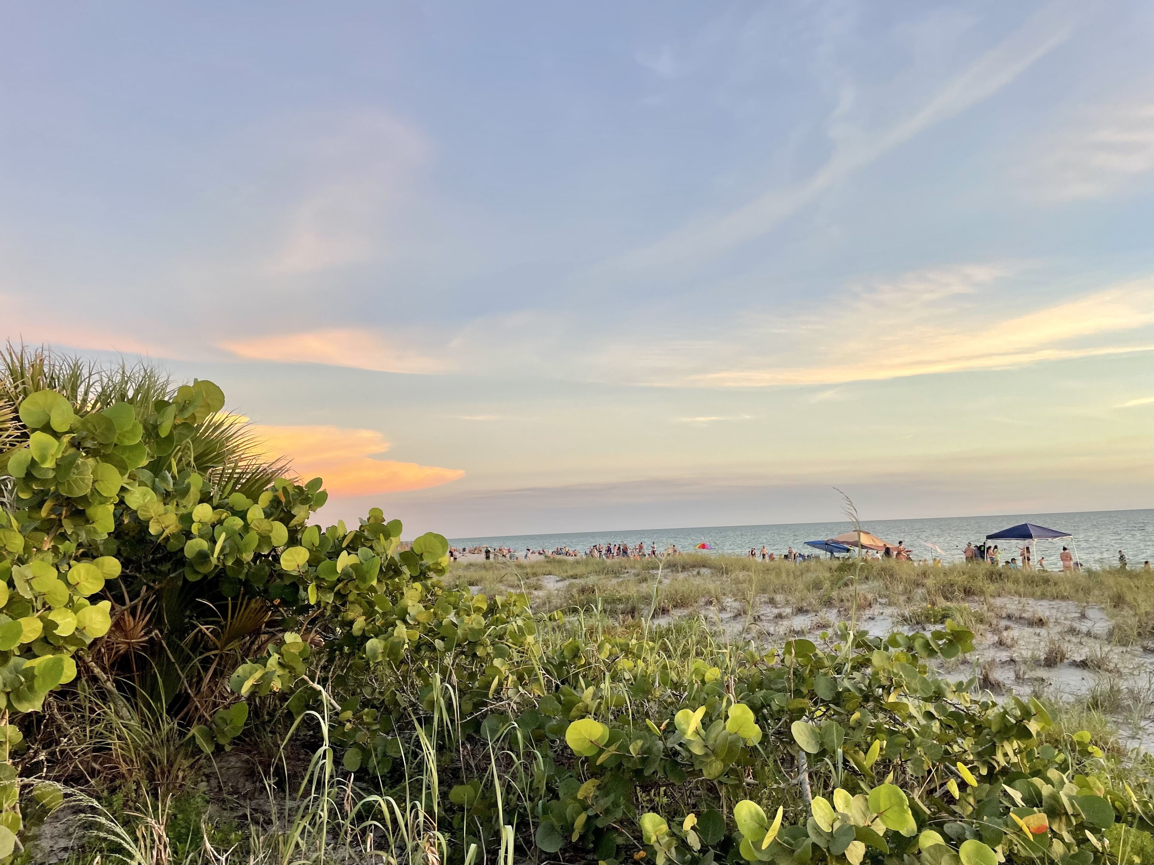 Chaises longues, serviettes de plage