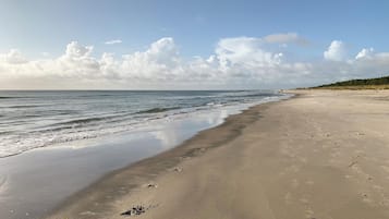 Tæt på stranden, fiskeri