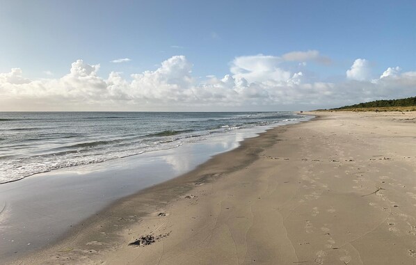 Una playa cerca, pesca