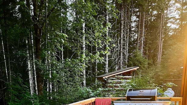 Een houten terras met een barbecue en zitgedeelte, omringd door bomen.