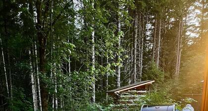 Cabin Retreat in the Woods - Hot Tub, Grill, Firepit, Ski at White Pass, Hiking