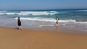 Beach nearby, sun-loungers, beach towels