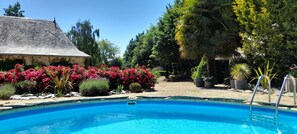 Outdoor pool - La Grange - Guest house in Anjou Bleu (SEGRE EN ANJOU BLEU)