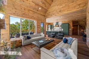 Smart TV, caminetto, videogiochi