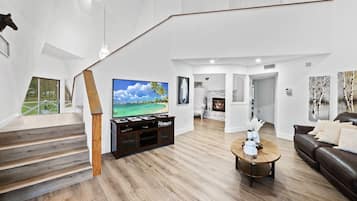 Smart TV, fireplace, books