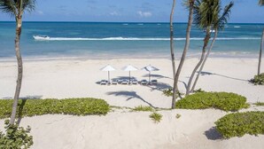 Una playa con palmeras, una fila de sillas de playa y sombrillas a la sombra.