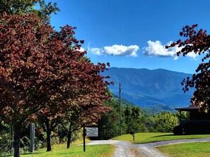 Property grounds - Heavenly Daze!!! Mountain Getaway!! (Cosby)